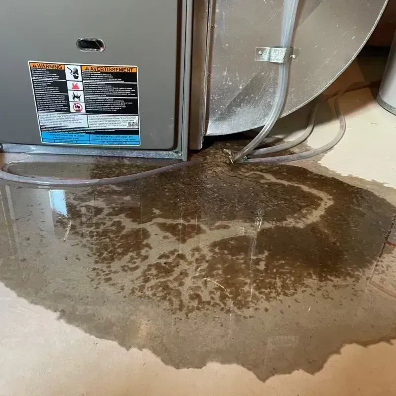 Appliance Leak Cleanup in Adairsville, GA